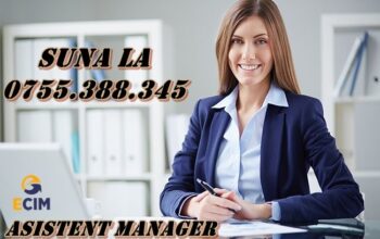 Asistent Manager