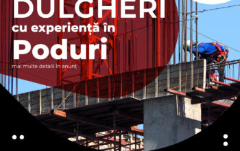 MPG BAU angajeaza Dulgheri RohBau cu experienta in Poduri pentru Germania!